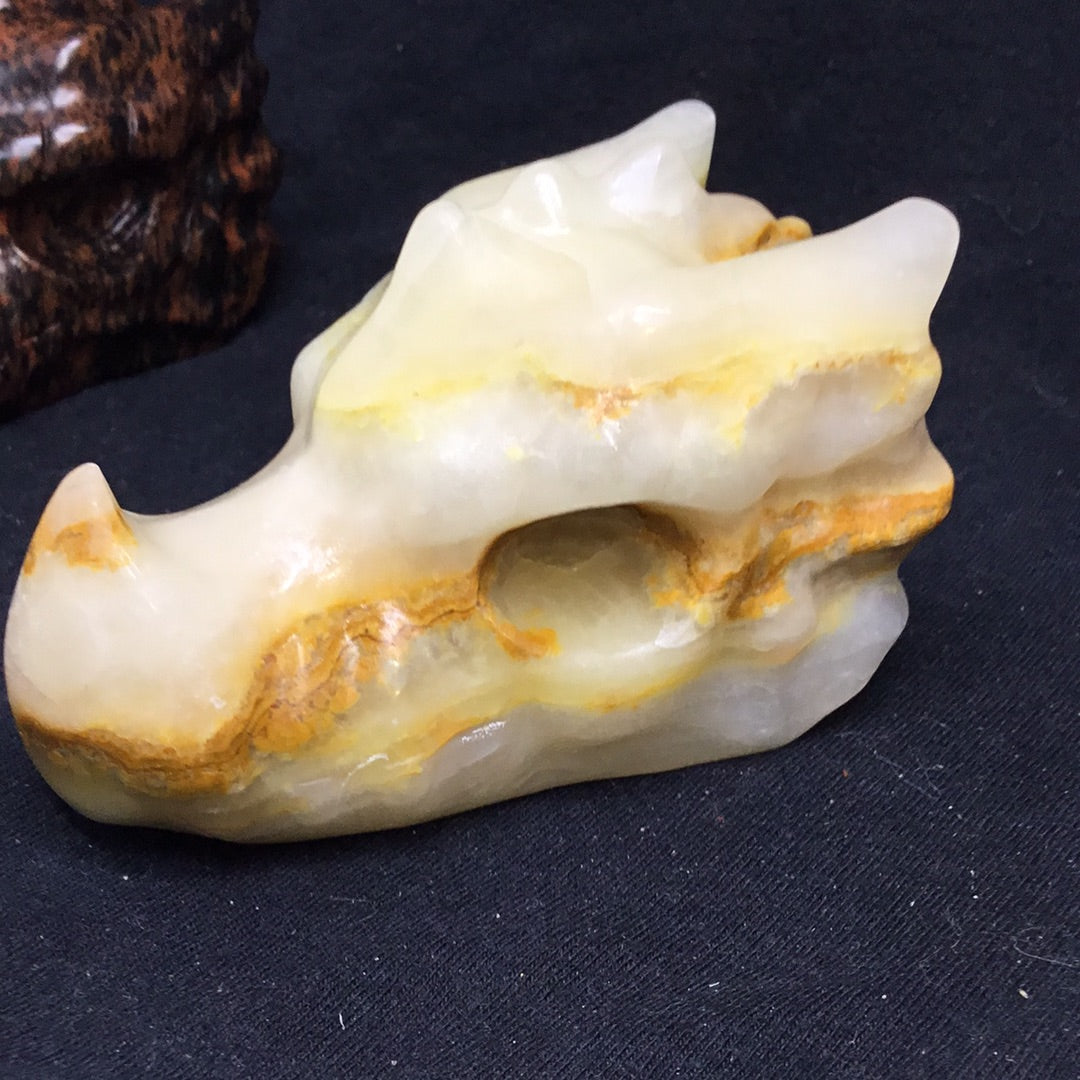 Dragon skull