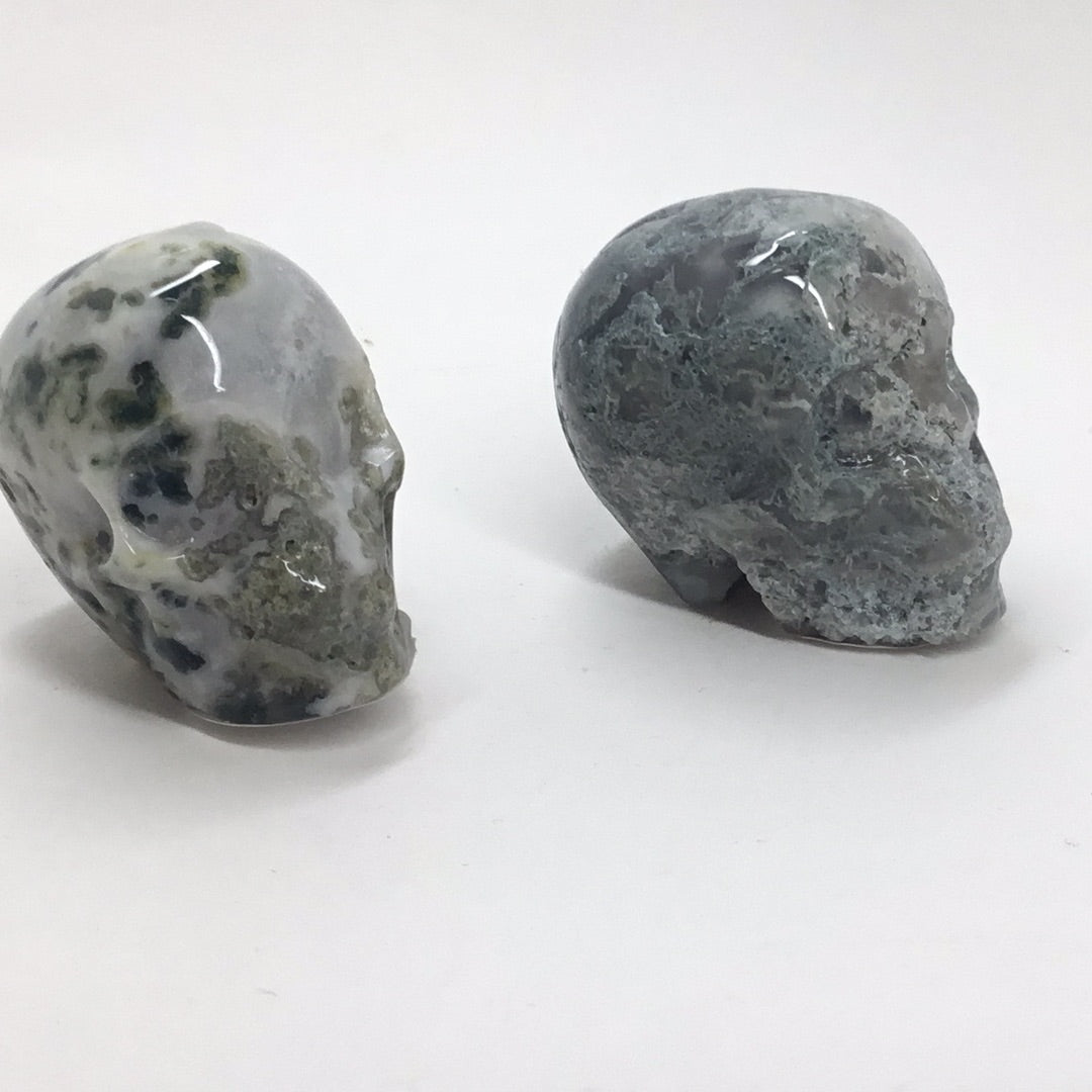 Small skulls