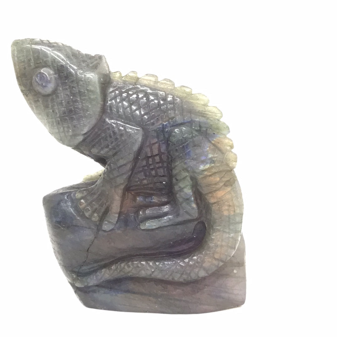Labradorite