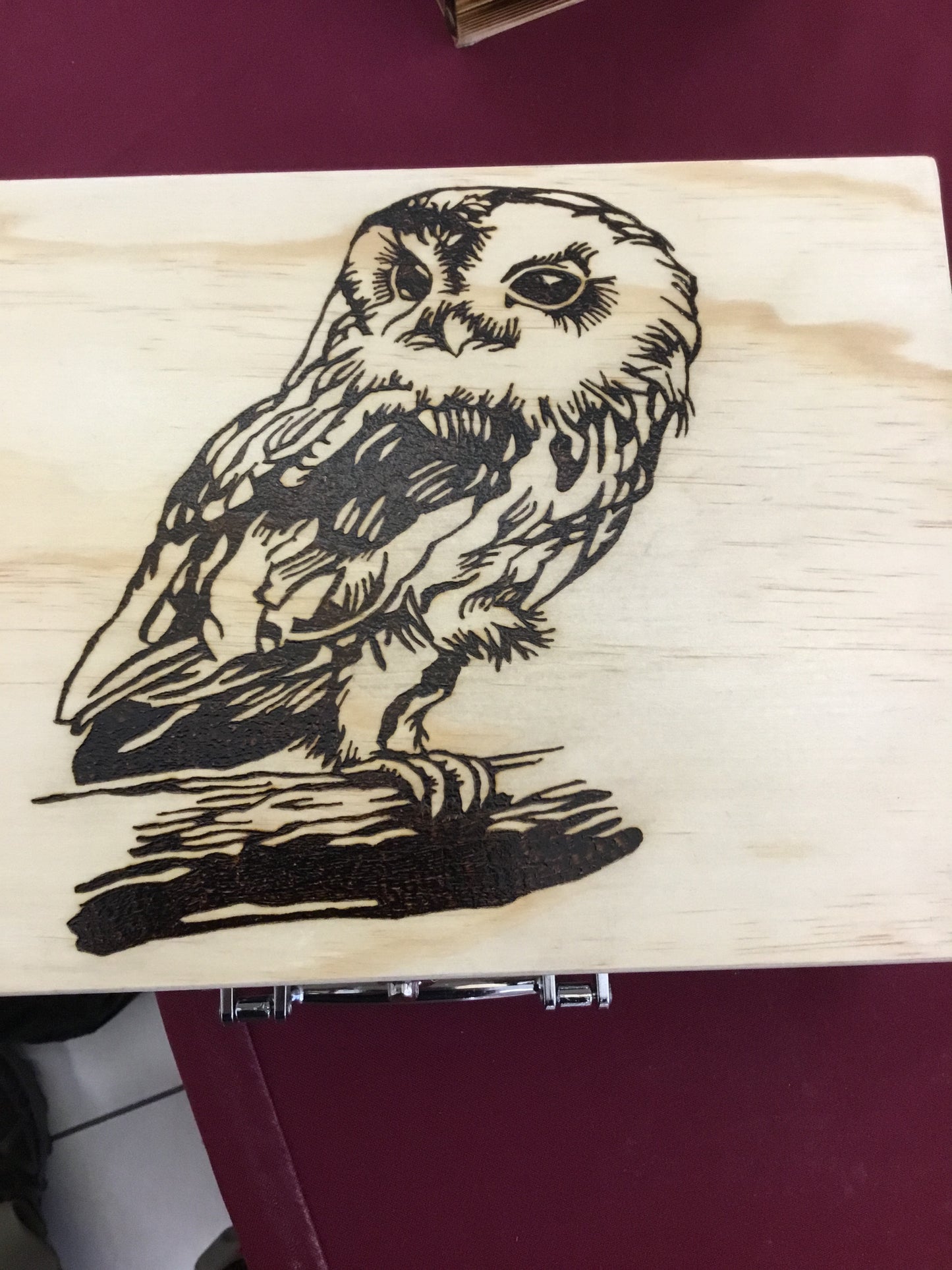 Owl