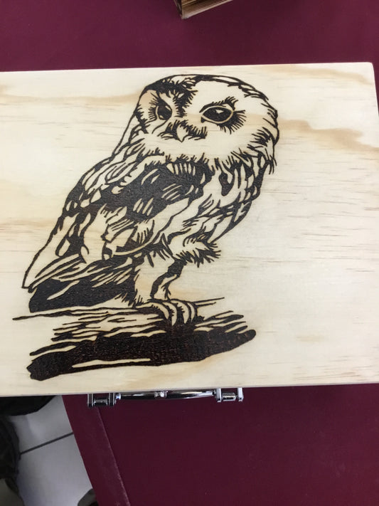Owl