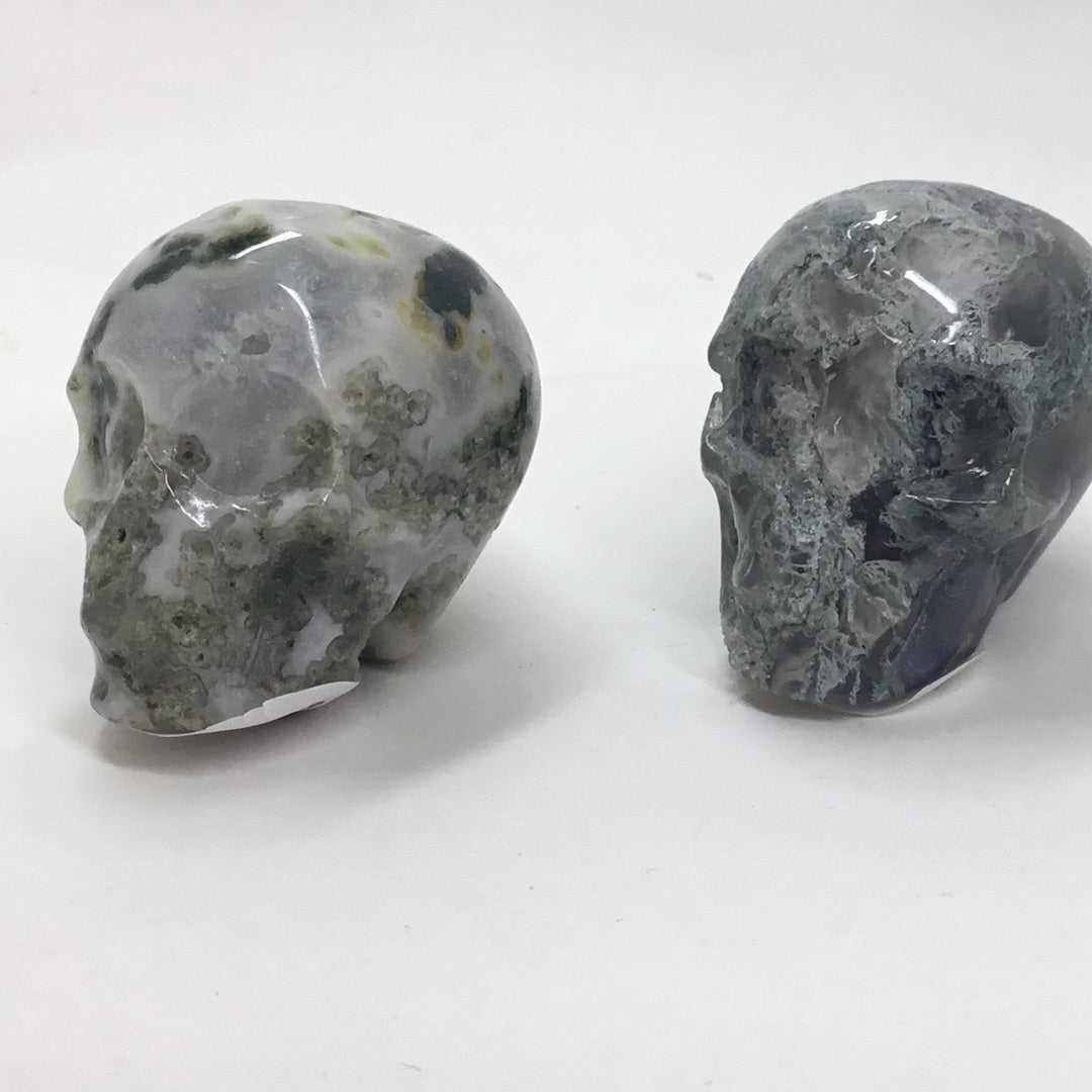 Small skulls