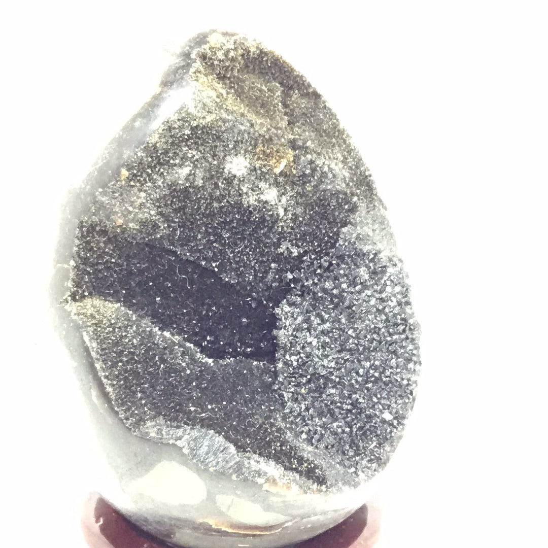 Septarian nodule