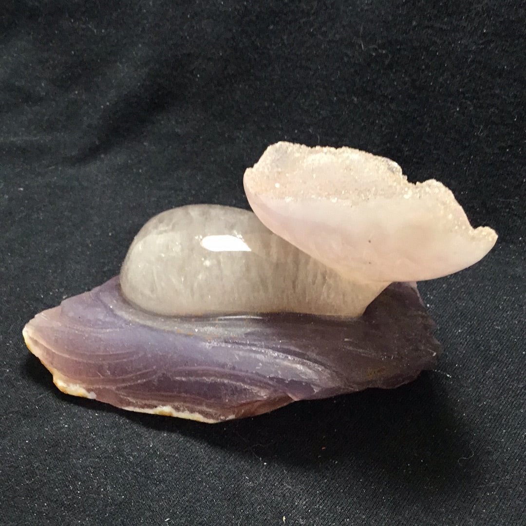 Agate mushroom