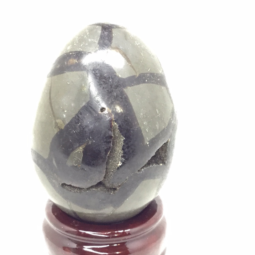 Septarian nodule