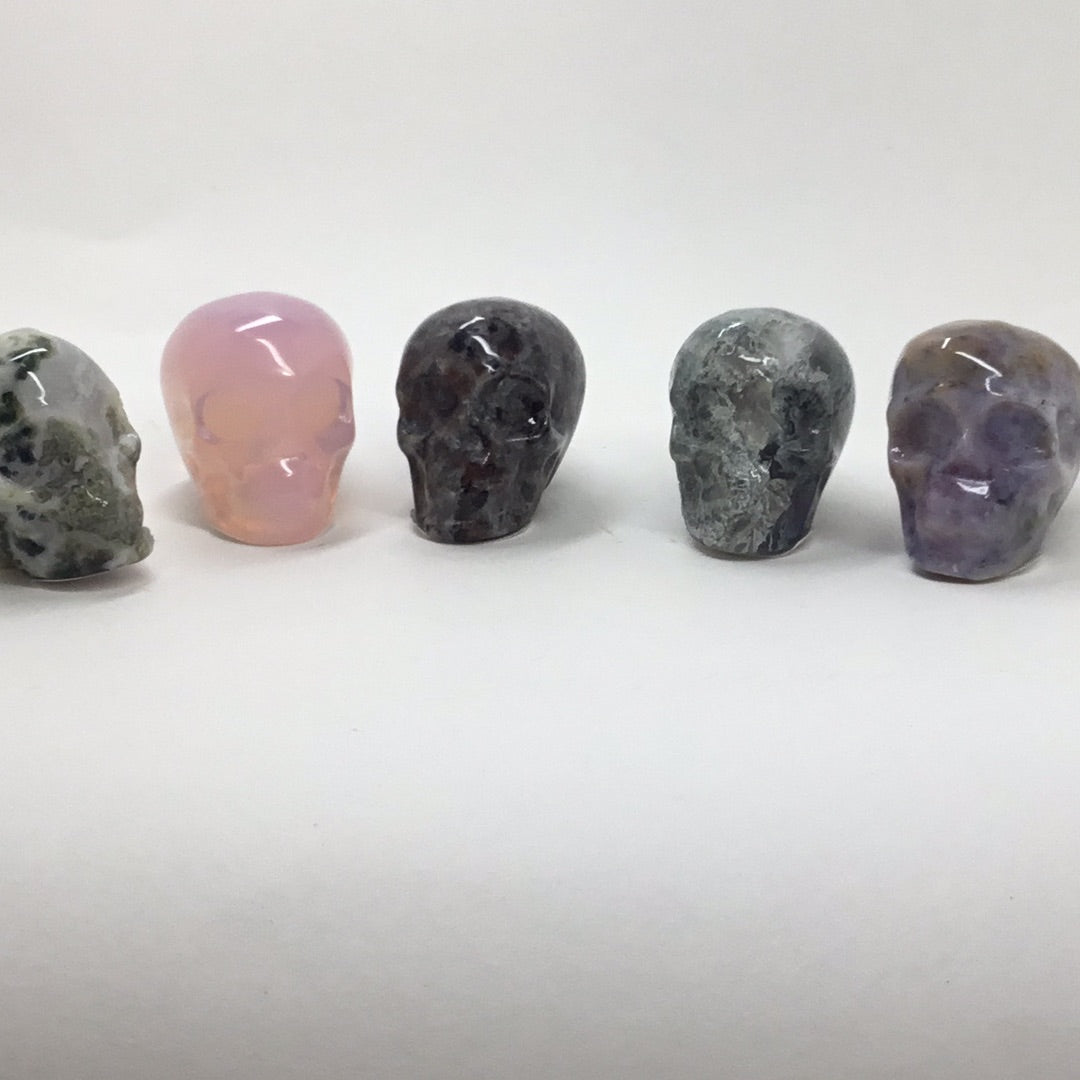 Small skulls