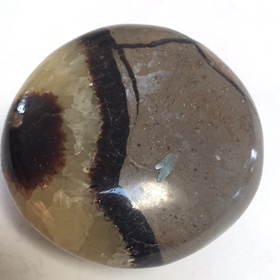 Septarian nodule