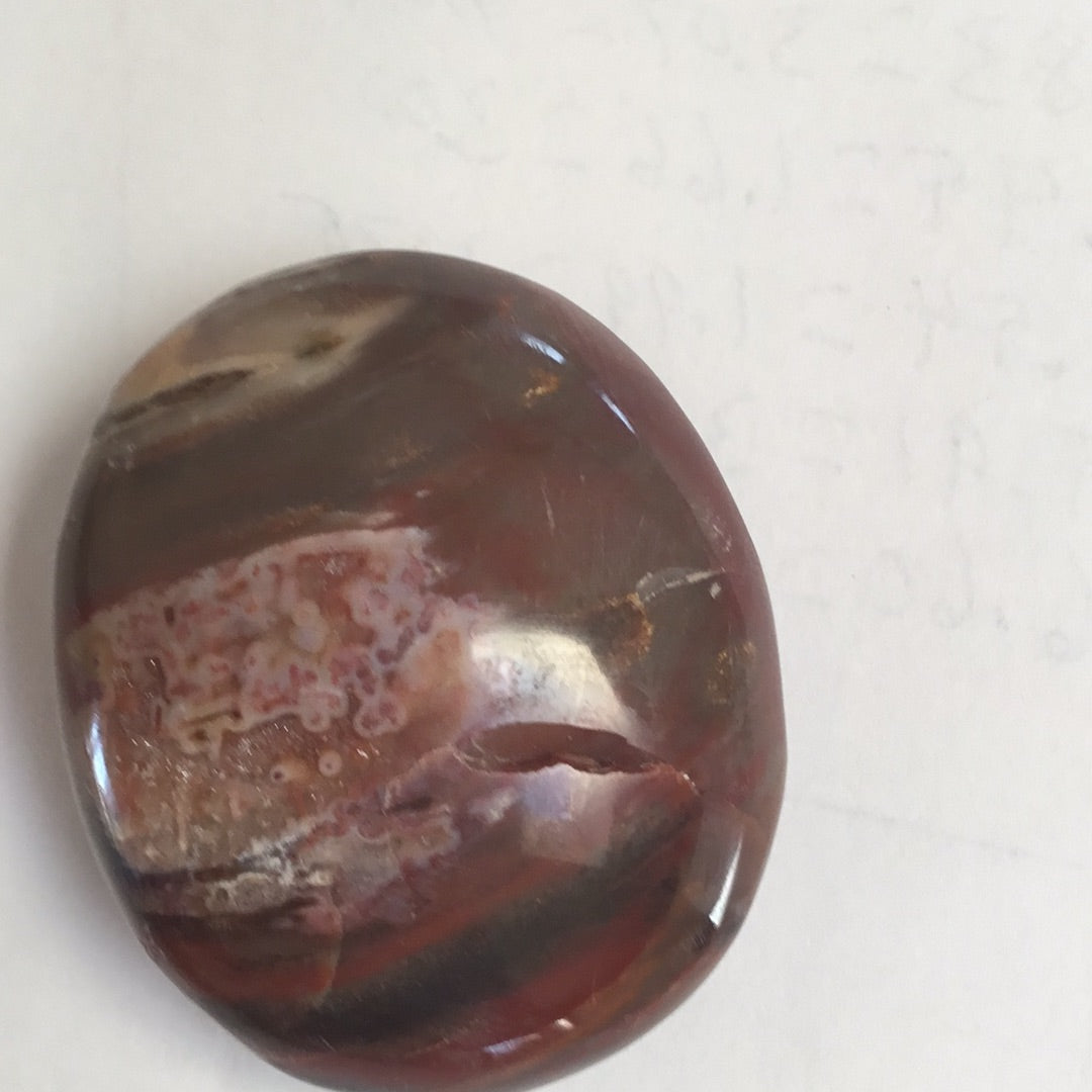 Petrified wood palm stone