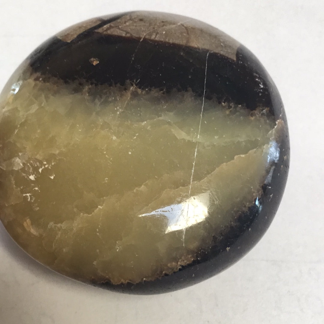 Septarian nodule
