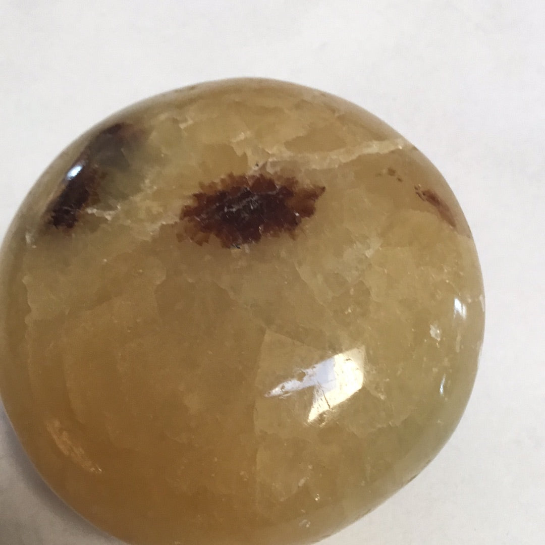 Septarian nodule