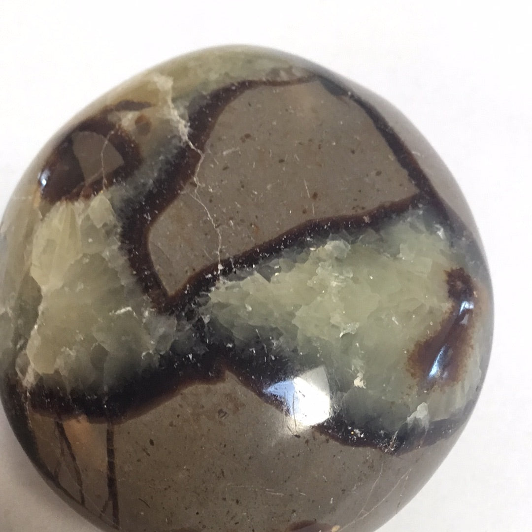 Septarian nodule