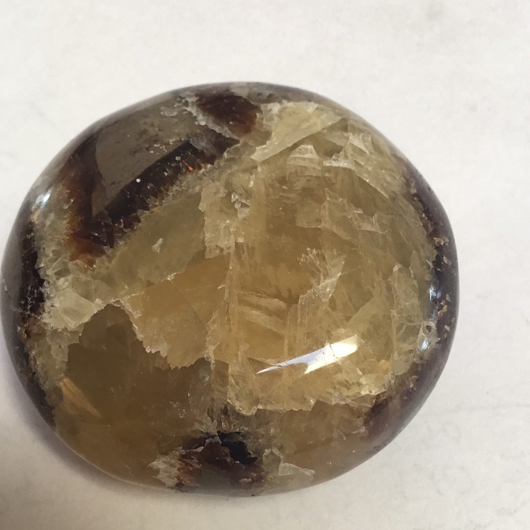 Septarian nodule