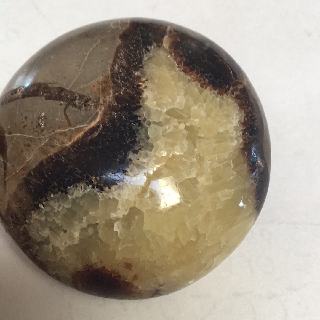 Septarian nodule