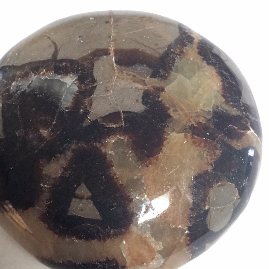 Septarian nodule