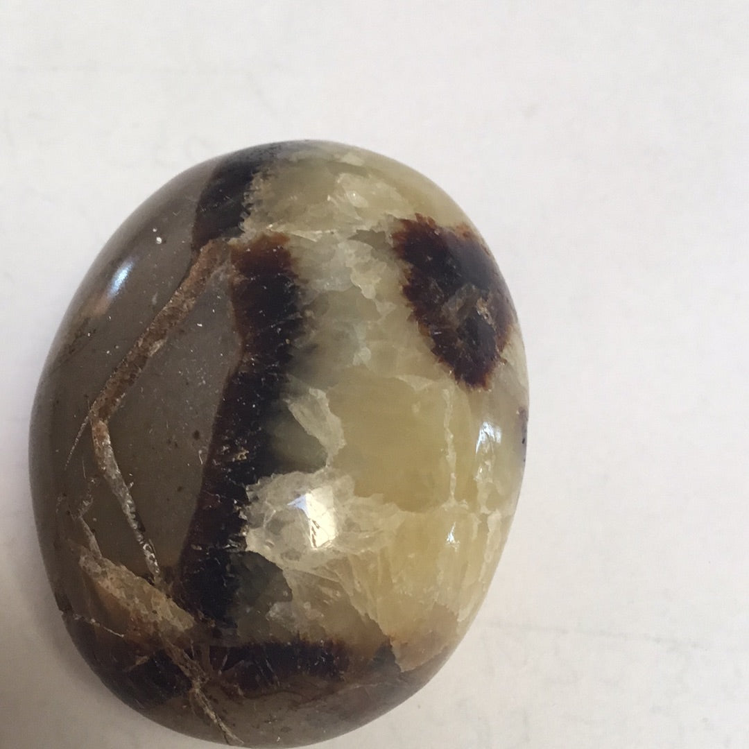 Septarian nodule