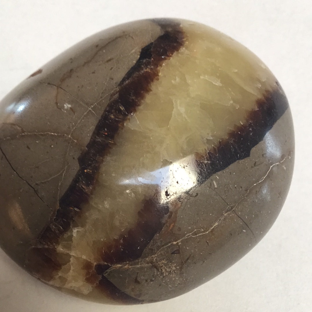 Septarian nodule