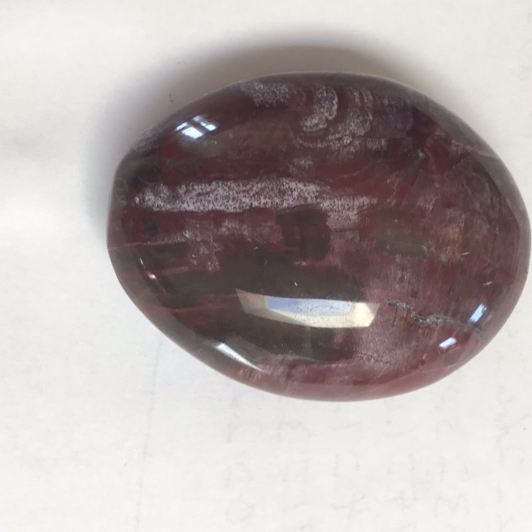 Petrified wood palm stone