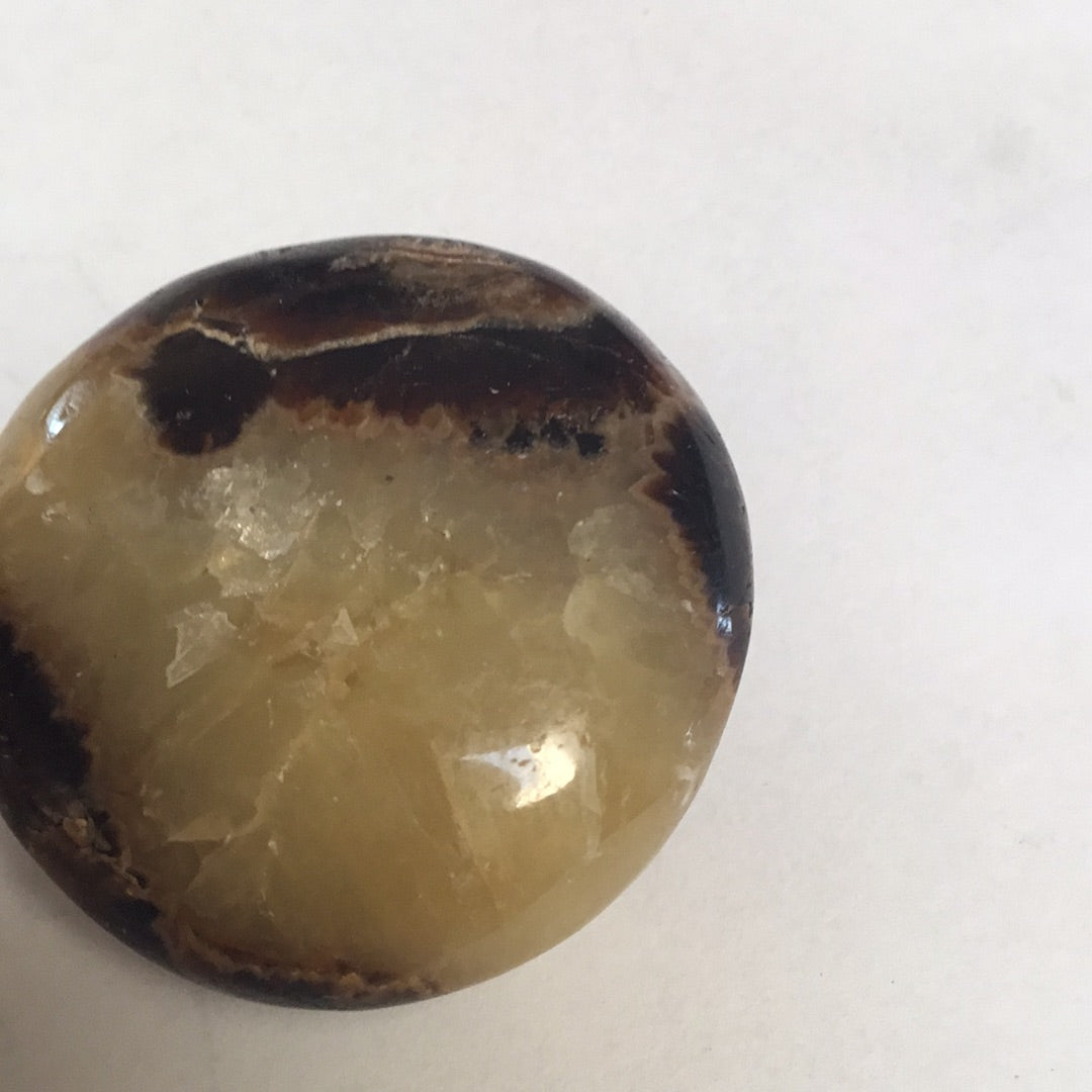 Septarian nodule