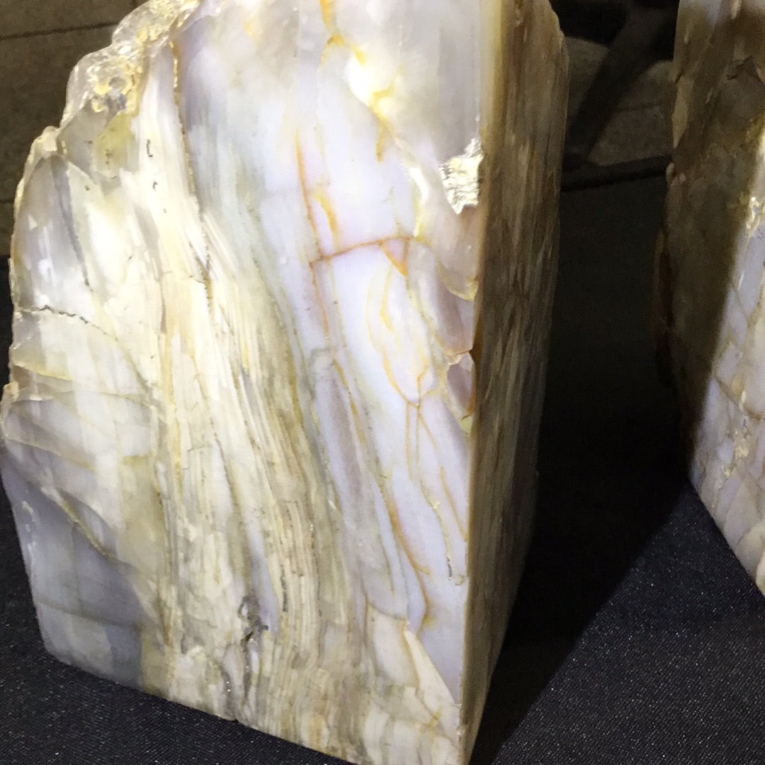 Petrified wood bookends