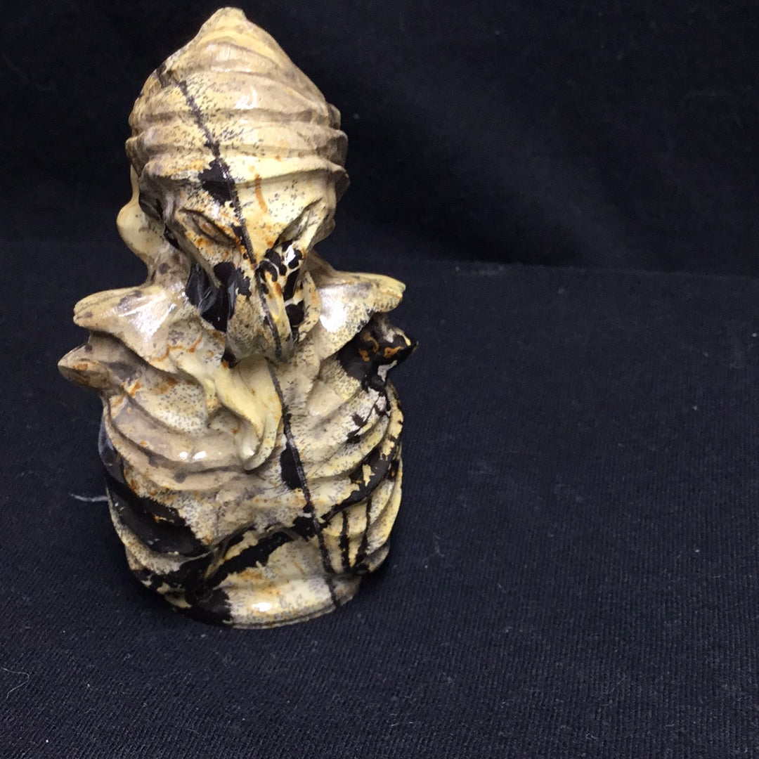 Picture jasper (Davy jones)
