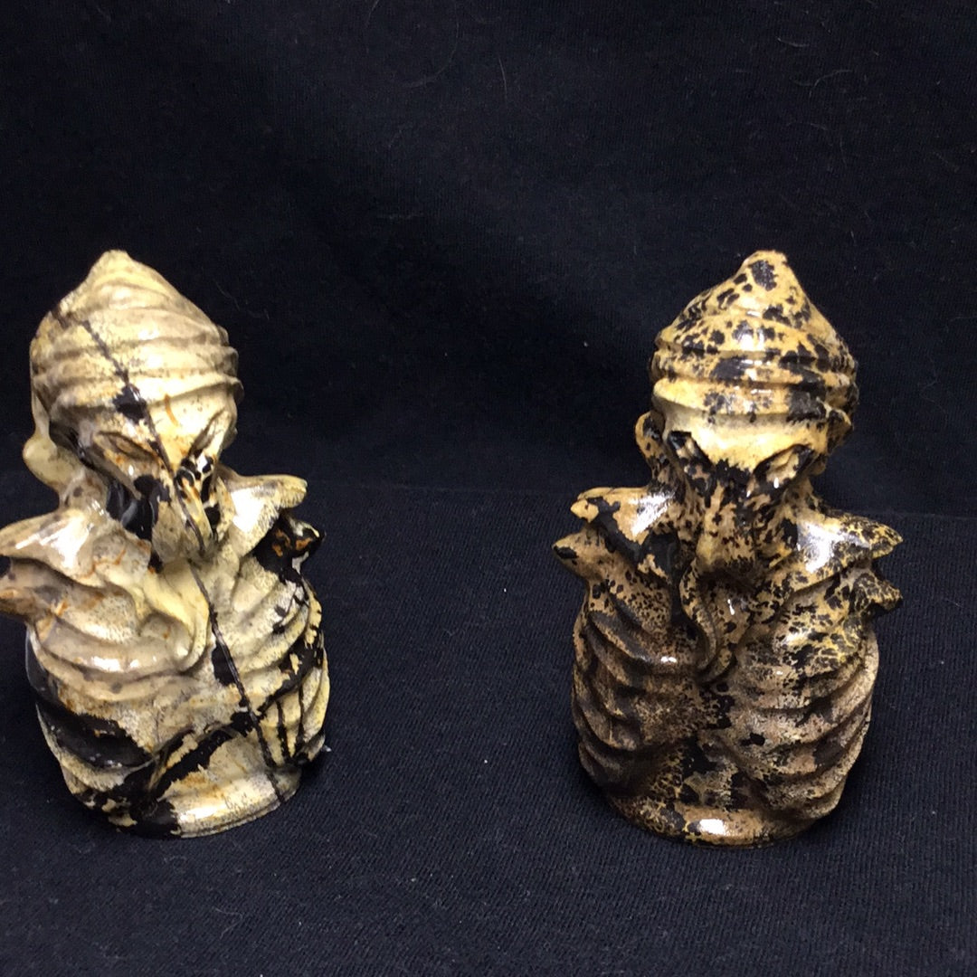 Picture jasper (Davy jones)