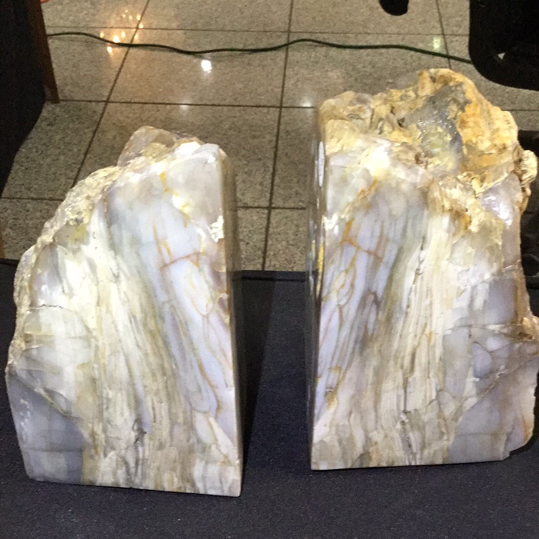 Petrified wood bookends