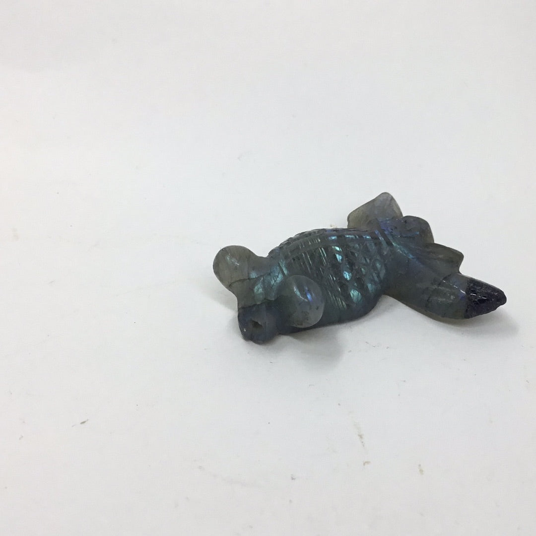 Koi fish