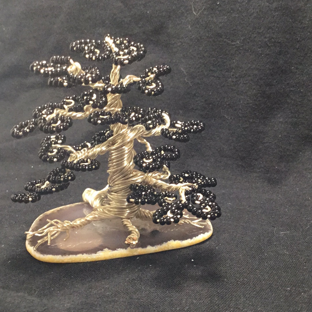 Black on silver tree