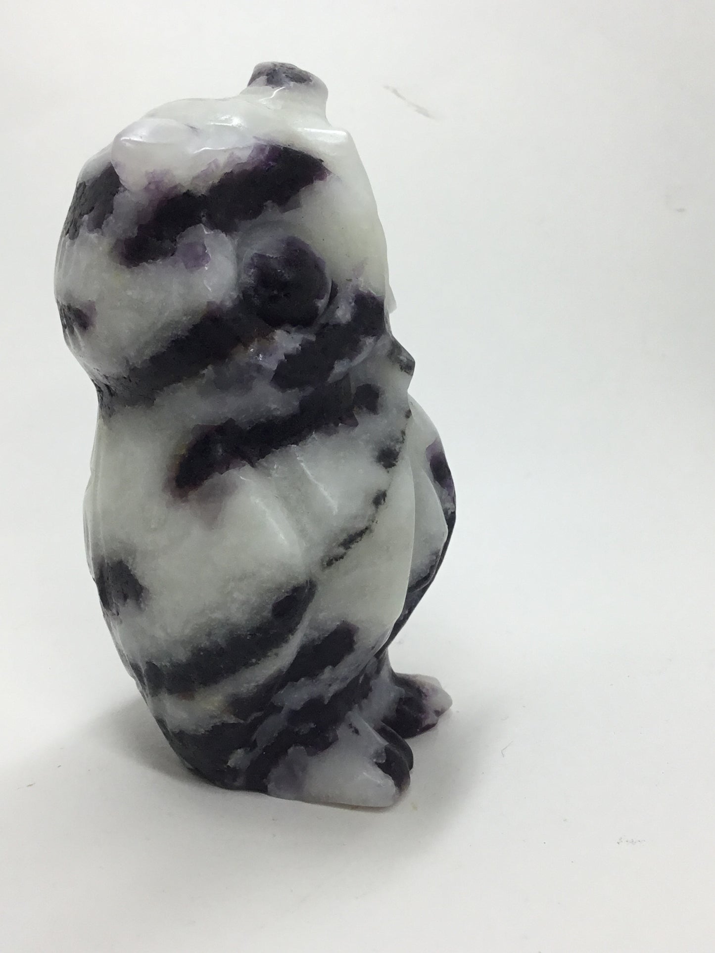 Fluorite root
