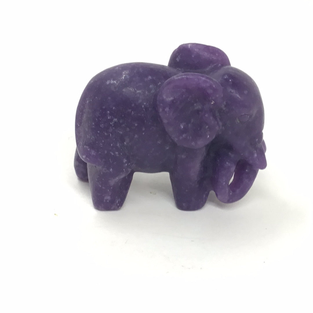 Elephant 2”