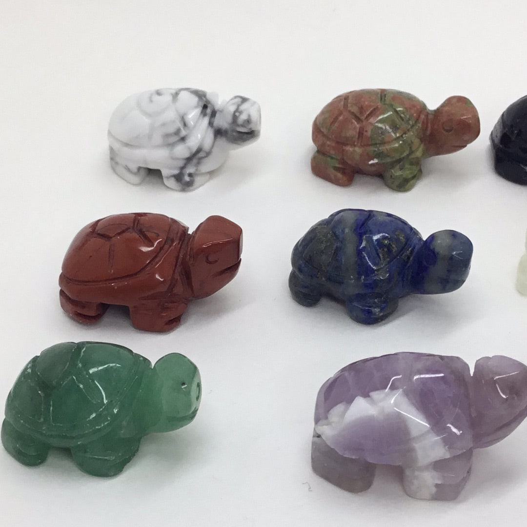 Turtle