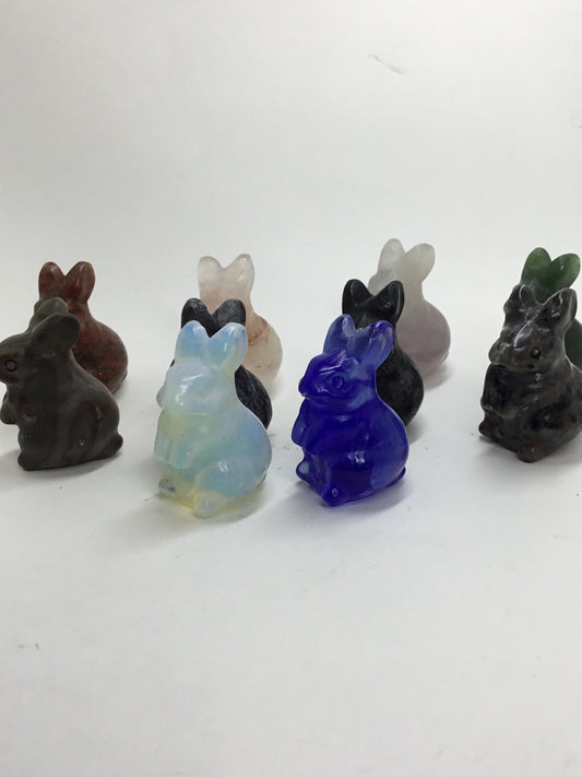 Rabbit