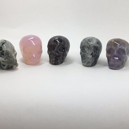 Small skulls