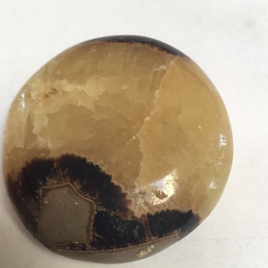 Septarian nodule