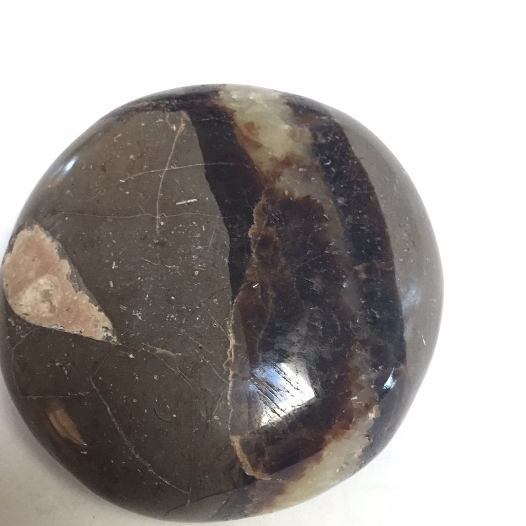 Septarian nodule
