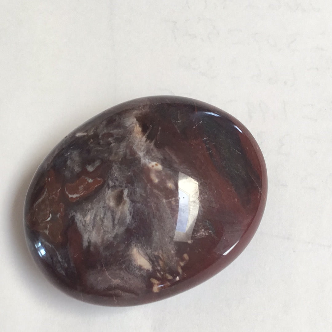 Petrified wood palm stone