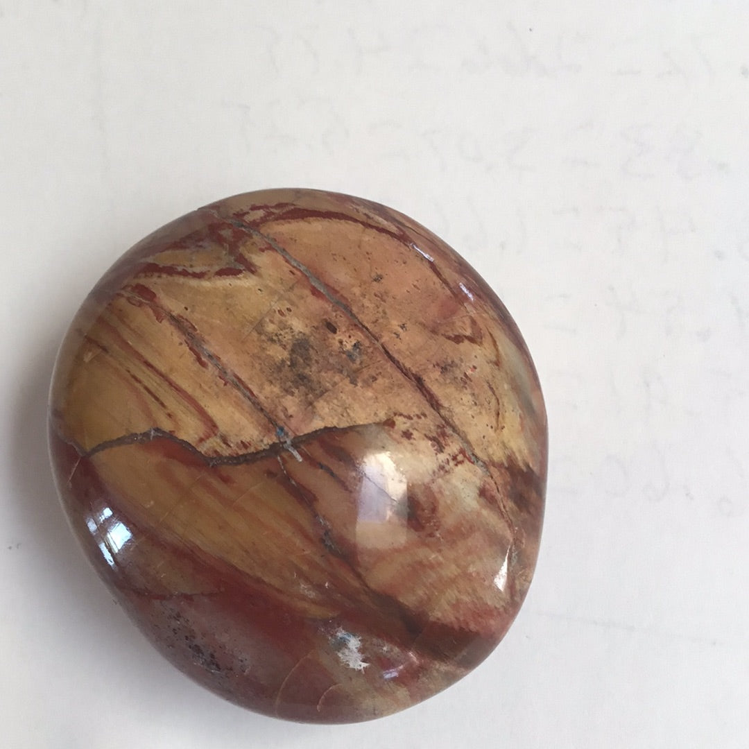 Petrified wood palm stone