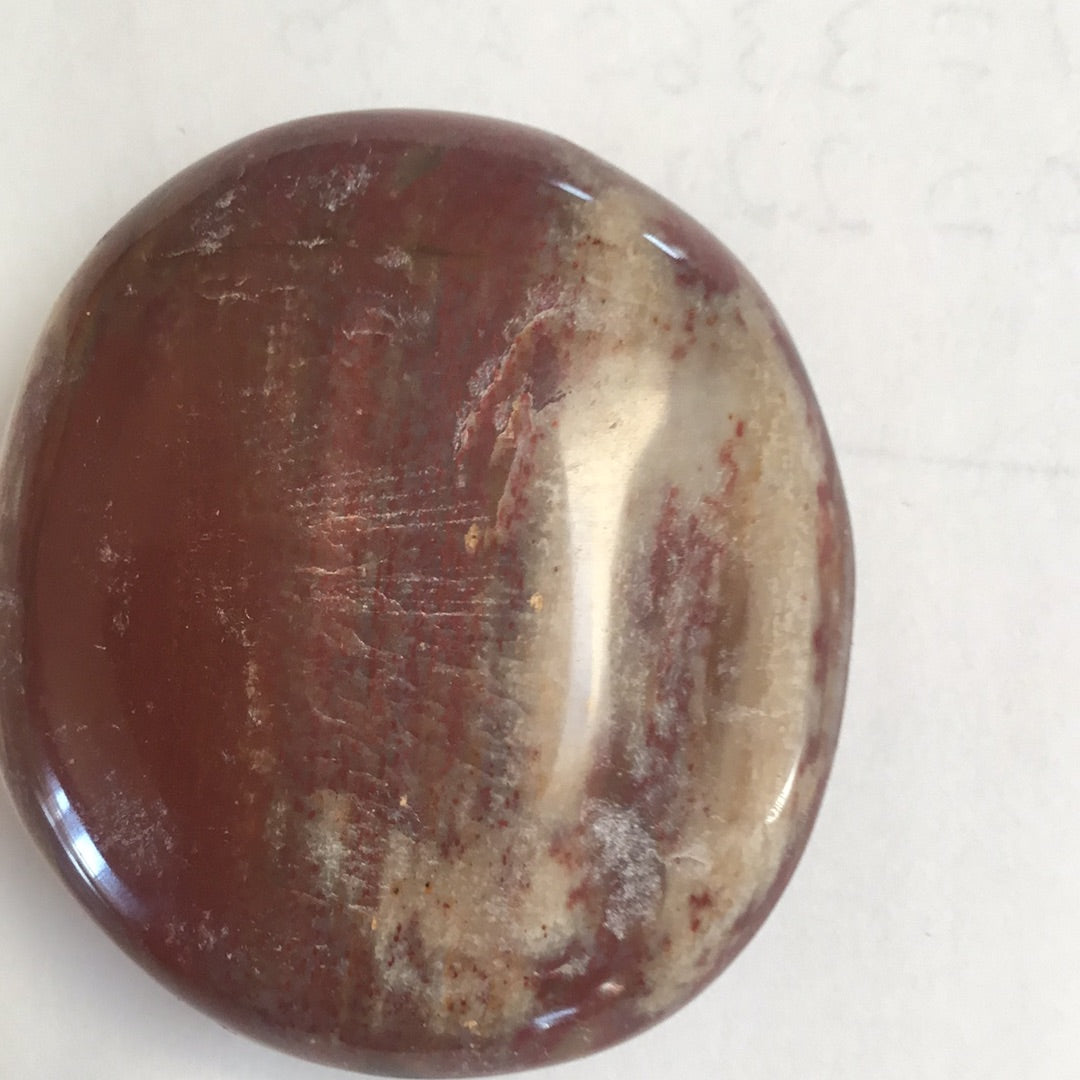 Petrified wood palm stone