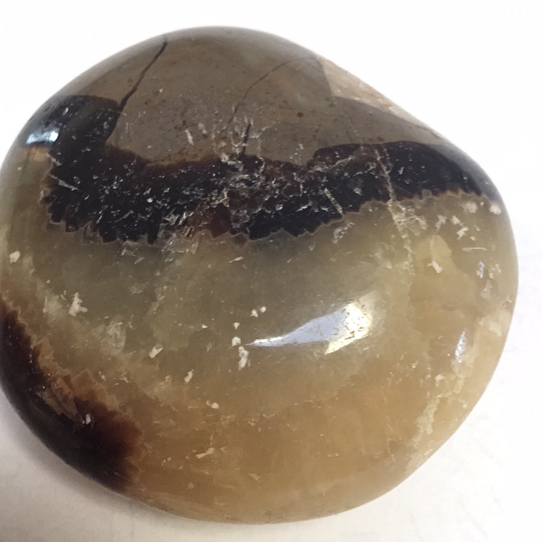 Septarian nodule