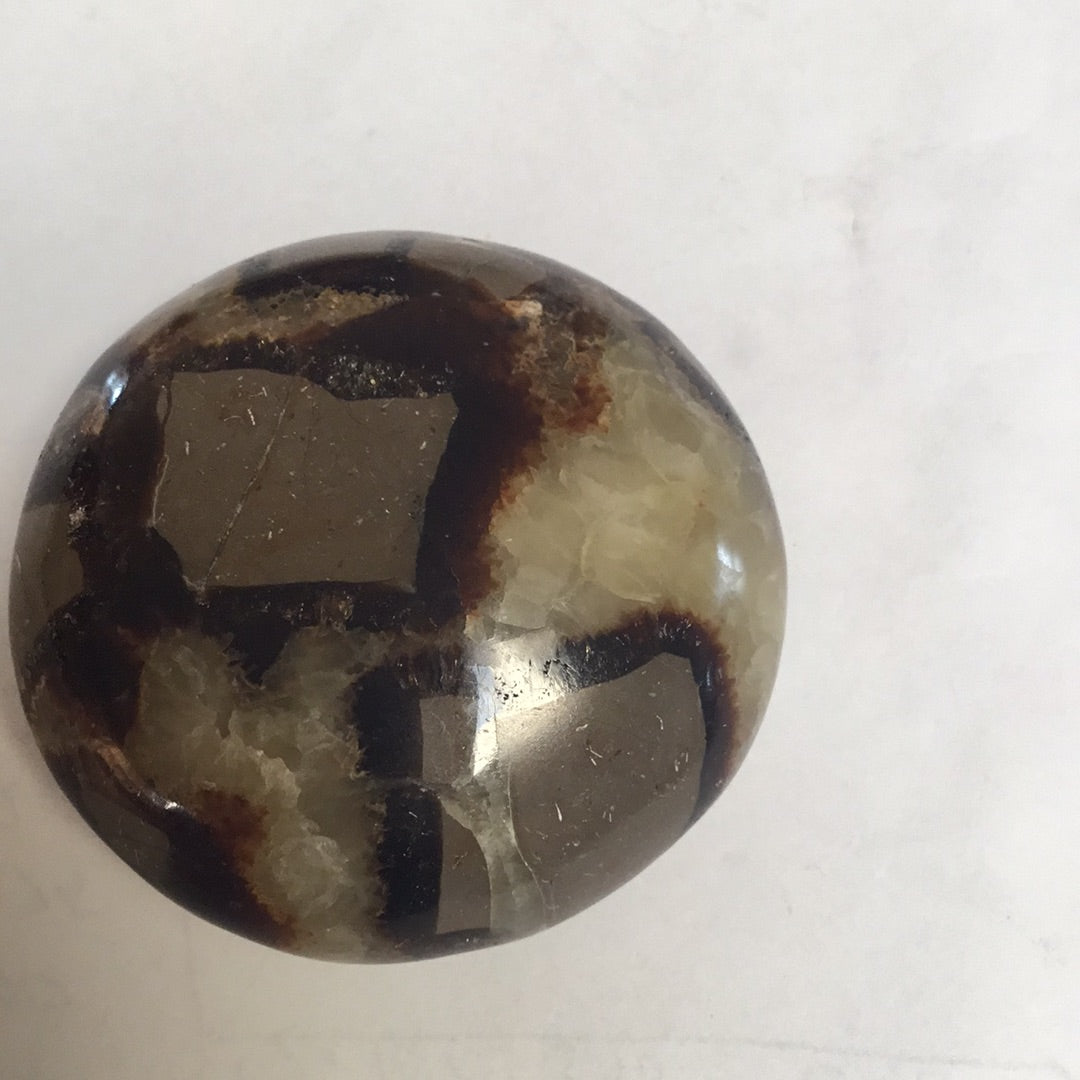 Septarian nodule