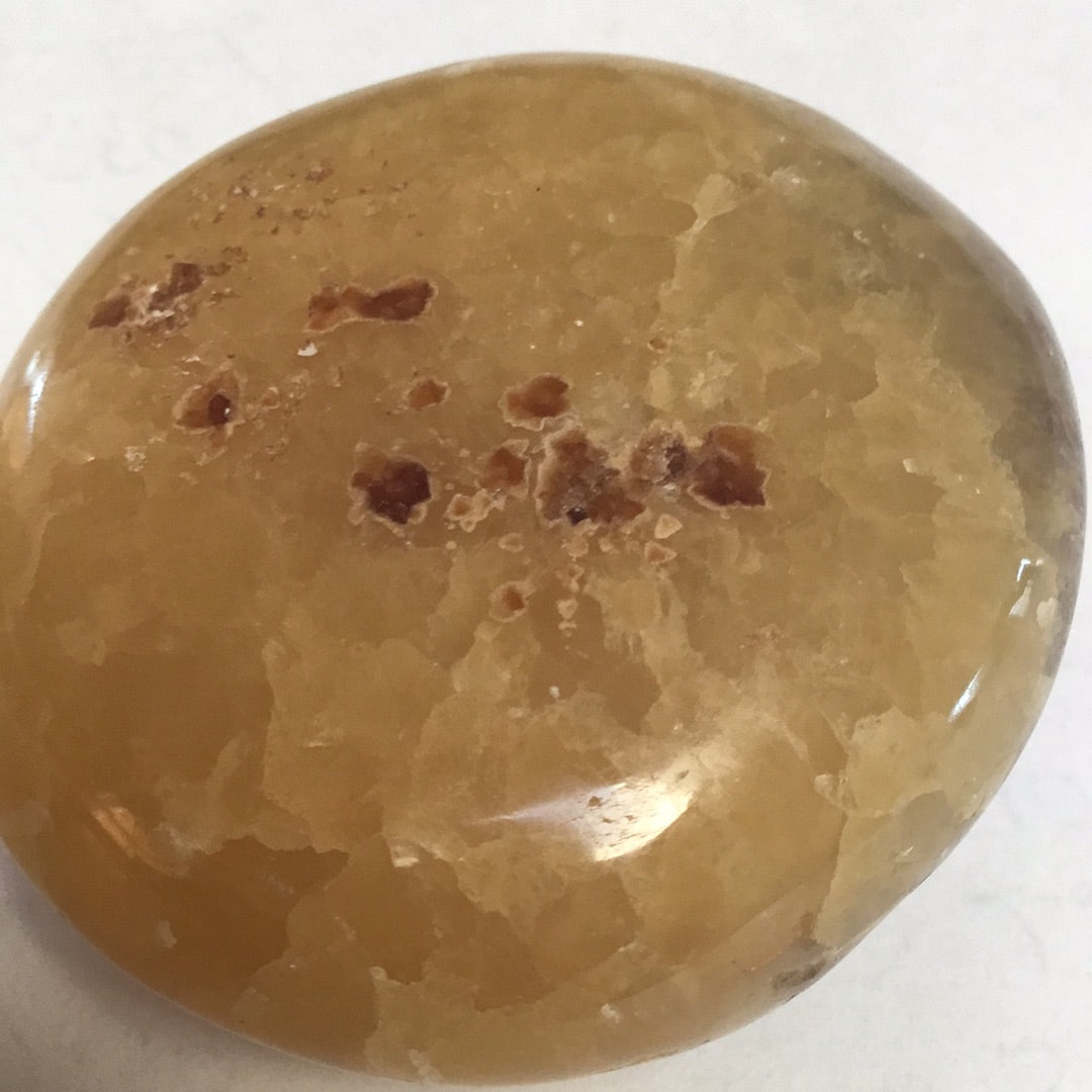 Septarian nodule