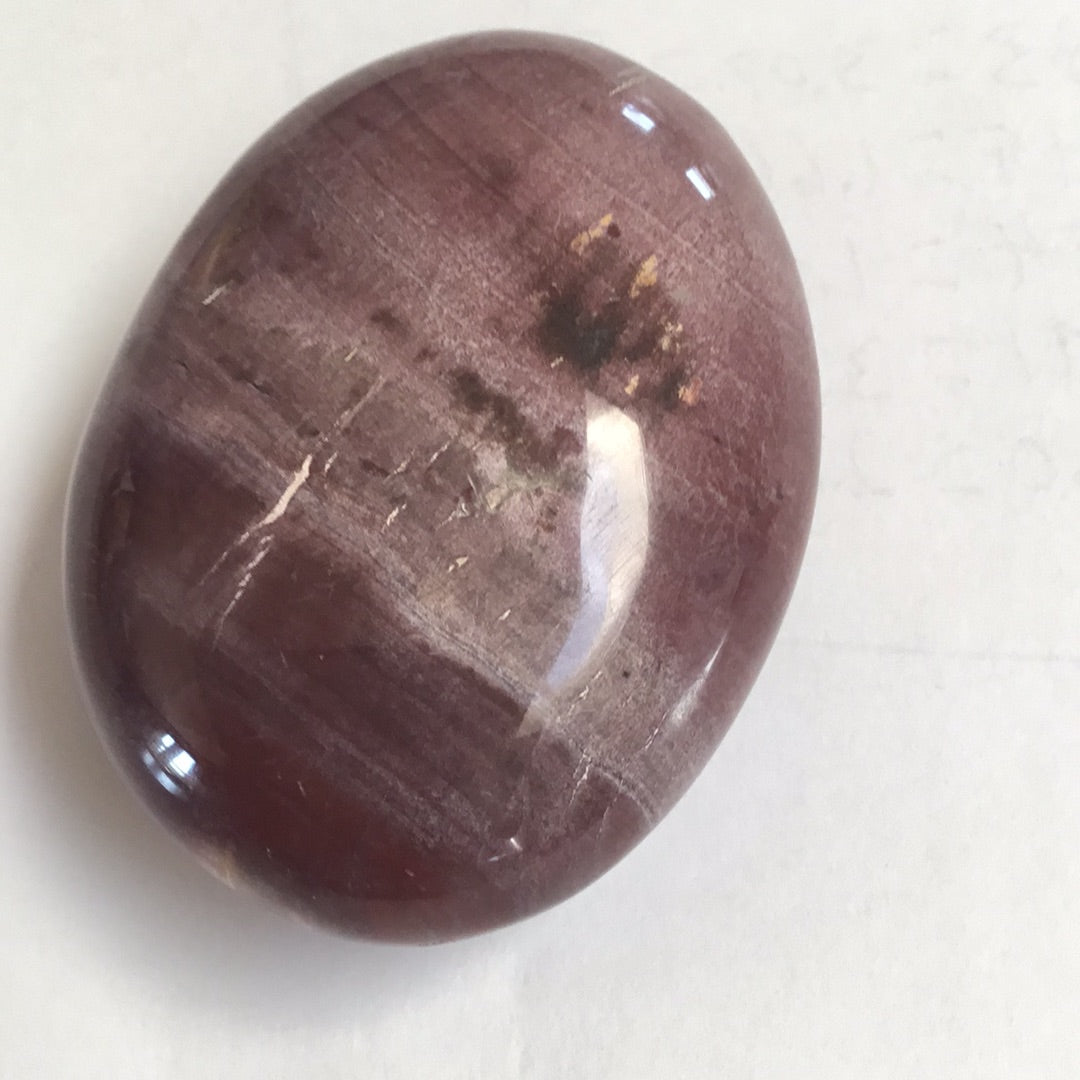 Petrified wood palm stone