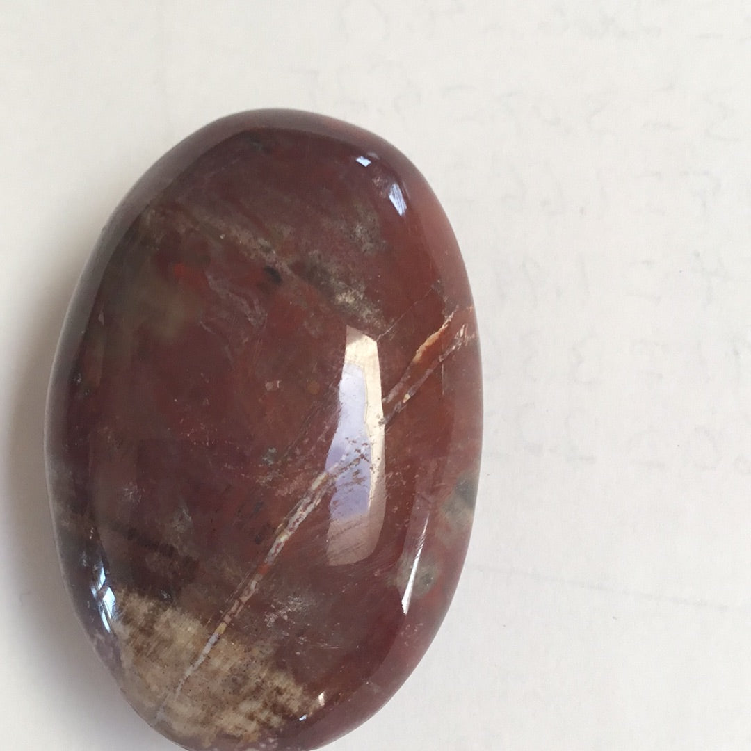 Petrified wood palm stone