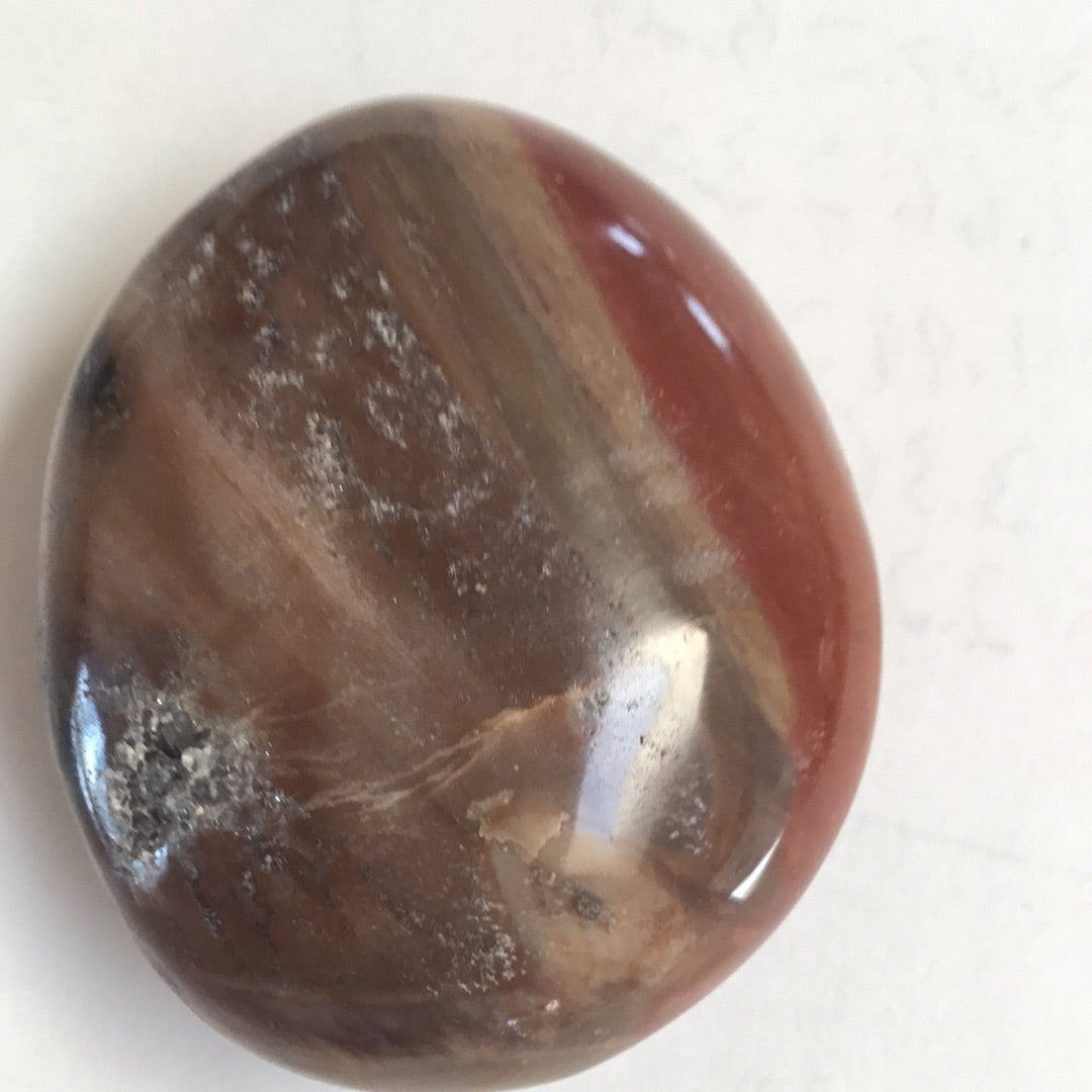 Petrified wood palm stone