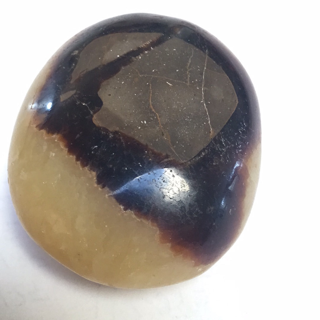 Septarian nodule