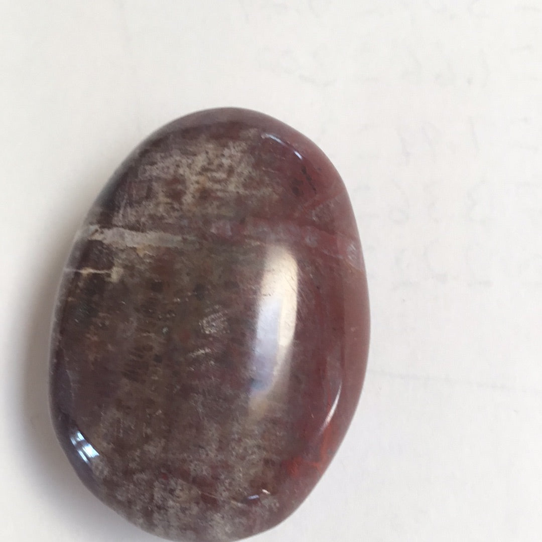 Petrified wood palm stone