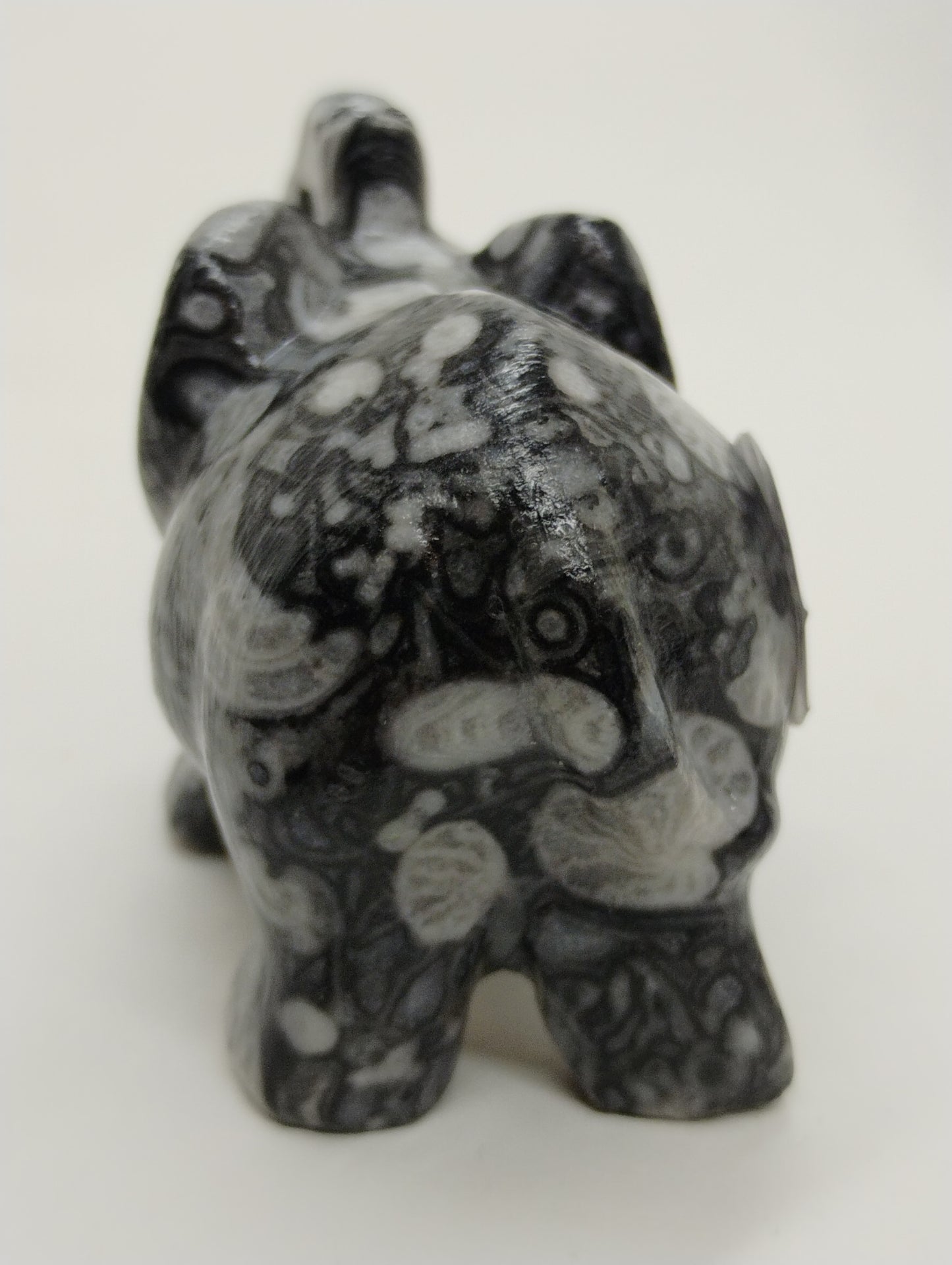 Shell elephant