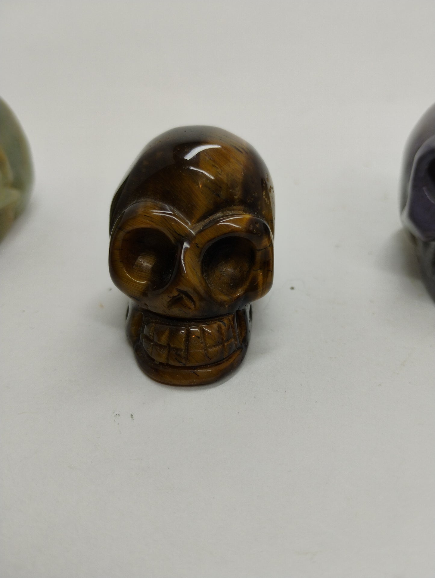 Skull