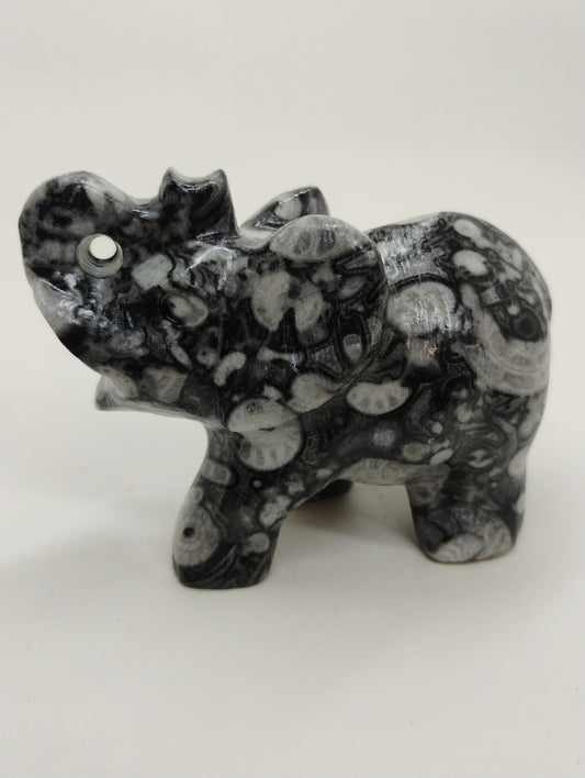 Shell elephant