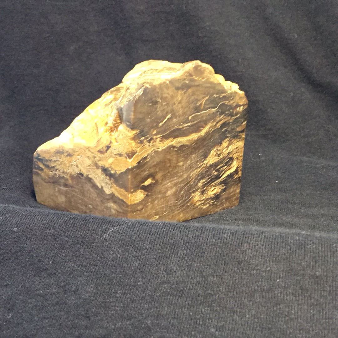 Petrified wood